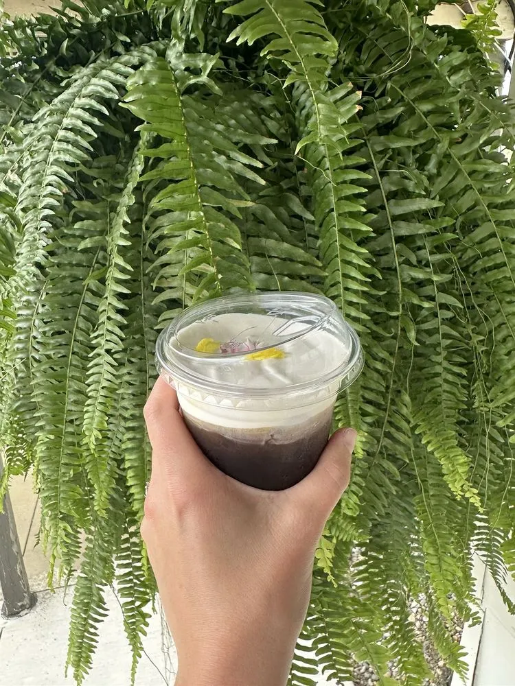 Trusted landscaping services in Holland, OH - Hoen's Garden Center & Landscaping