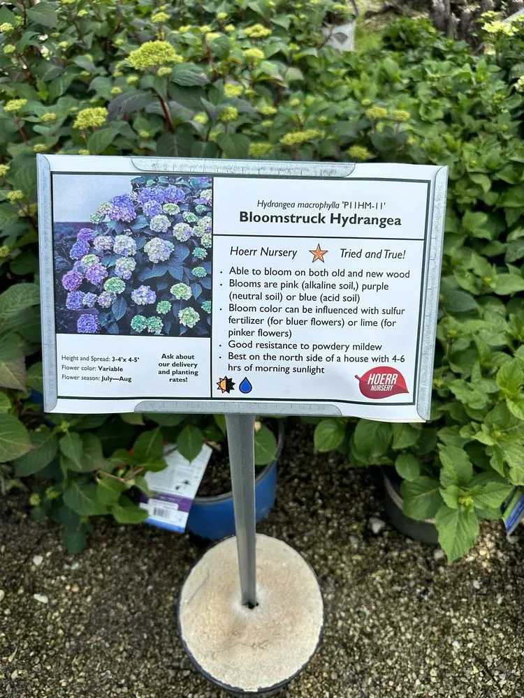 Local lawn mowing service in Peoria, IL by Hoerr Nursery