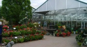 Custom yard maintenance for homes across Peoria, IL - Hoerr Nursery