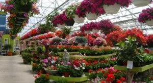 Expert landscaping services experts serving Peoria, IL - Hoerr Nursery