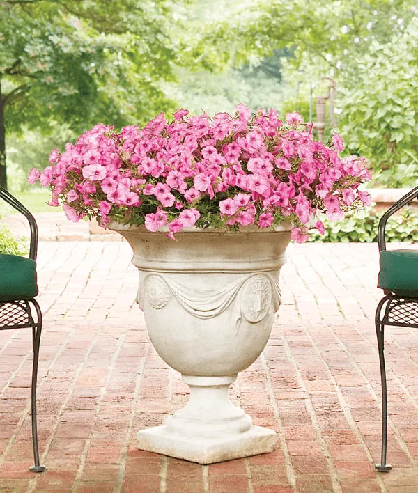 Custom garden landscaping for outdoor upgrades across Peoria, IL - Hoerr Nursery