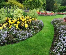 Custom lawn care service in Peoria, IL by Hoerr Nursery