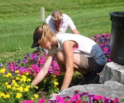 Top-rated residential landscaping in Peoria, IL - Hoerr Nursery