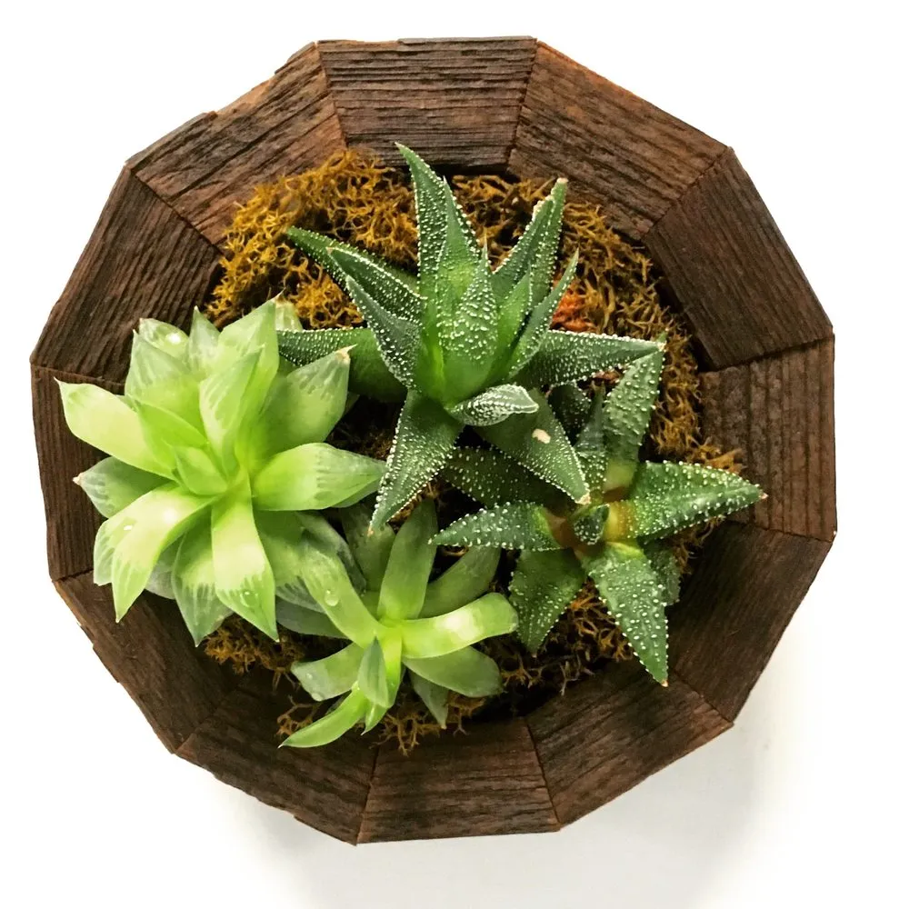 Top-rated landscape design experts serving Oakland, CA - Hoes and Ditches