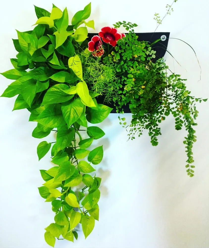 Trusted lawn mowing service experts serving Oakland, CA - Hoes and Ditches