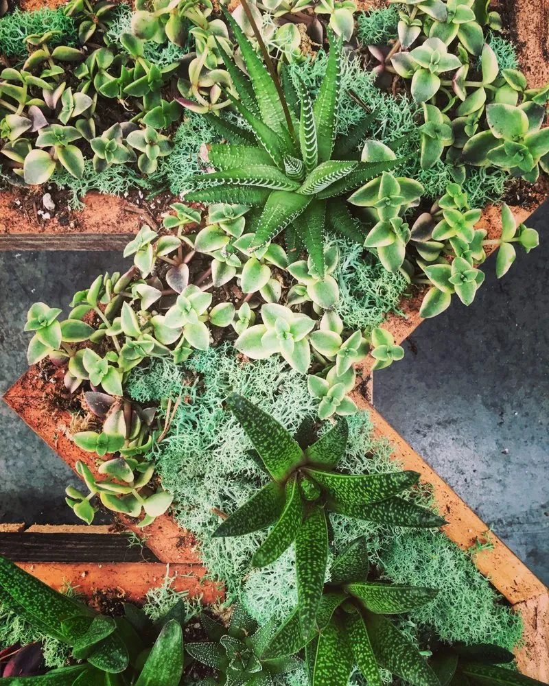 Expert landscape installation experts serving Oakland, CA - Hoes and Ditches