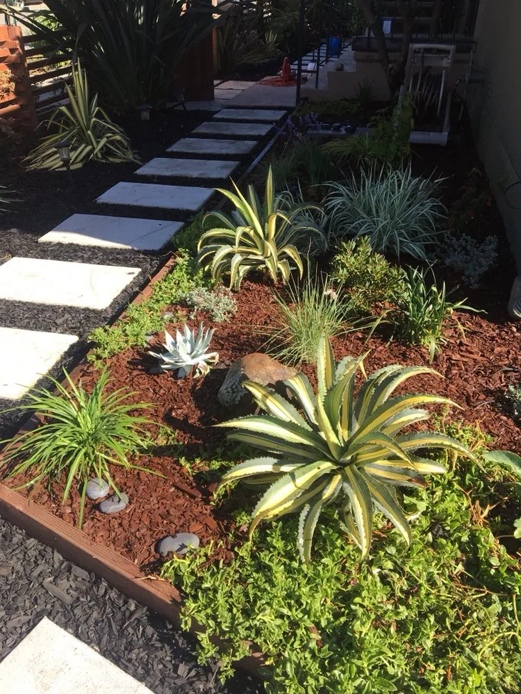 Reliable outdoor landscaping in Oakland, CA by Hoes and Ditches
