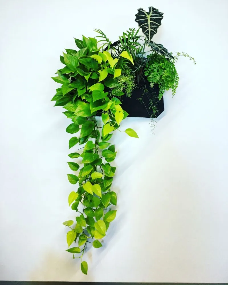 Professional lawn mowing service experts serving Oakland, CA - Hoes and Ditches