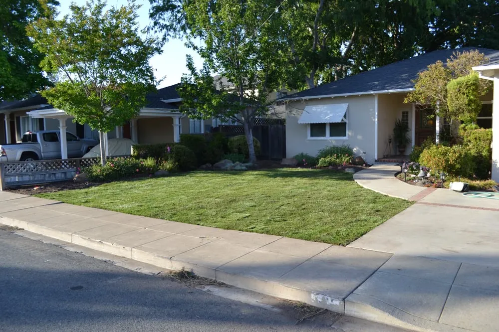 Affordable yard maintenance in Oakland, CA by Hoes and Ditches