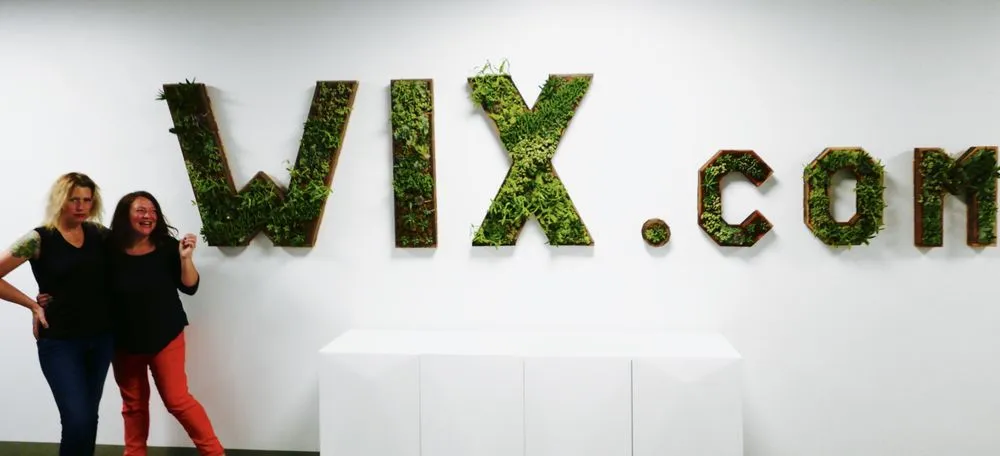 Trusted yard cleanup service for outdoor upgrades across Oakland, CA - Hoes and Ditches