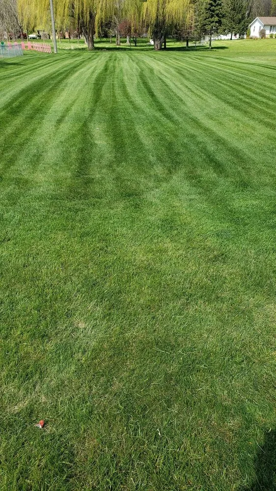 Reliable landscape installation in Watertown, MN - Hoese Enterprises