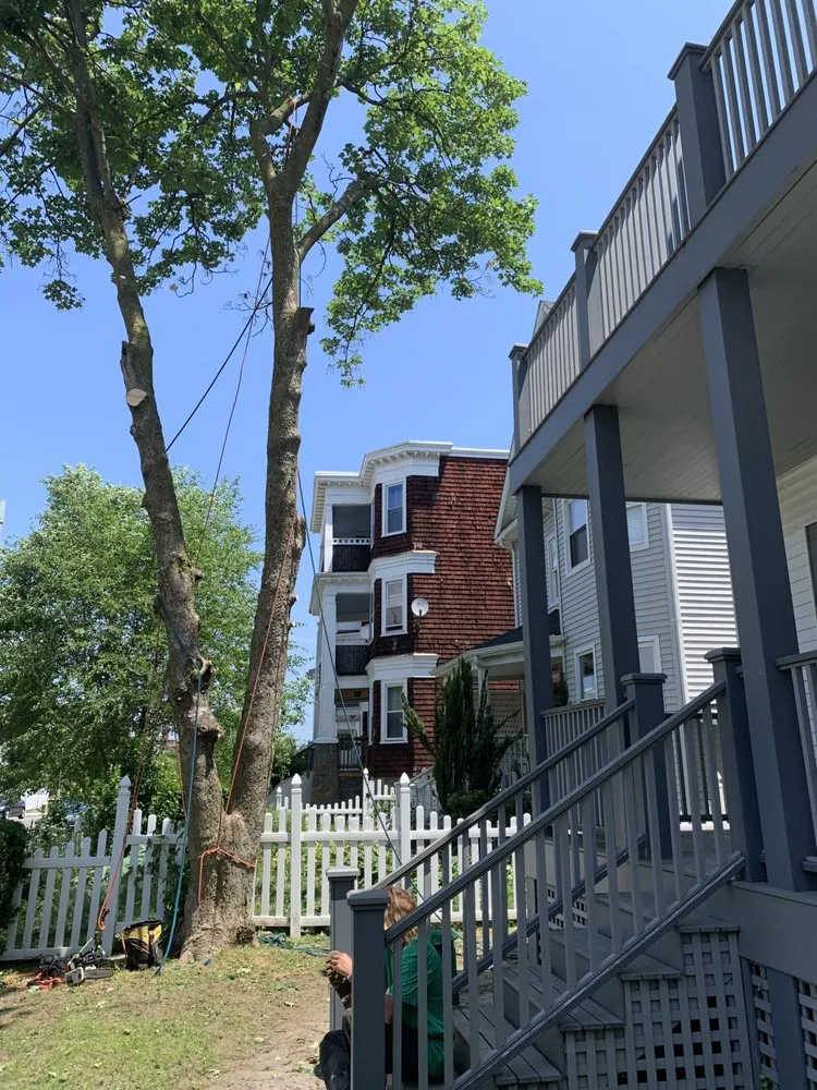 Trusted garden landscaping experts serving Milton, MA - Hoey Landscaping & Tree Service