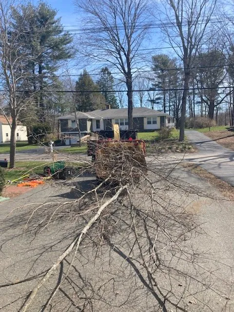 Top-rated garden landscaping experts serving Milton, MA - Hoey Landscaping & Tree Service