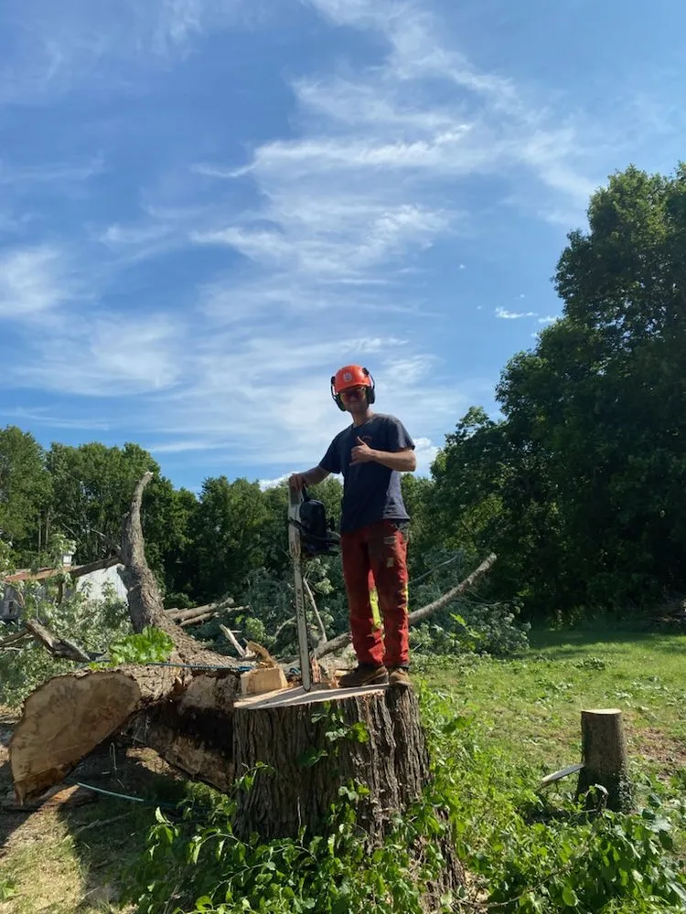 Custom landscaping services for beautiful yards in Milton, MA by Hoey Landscaping & Tree Service