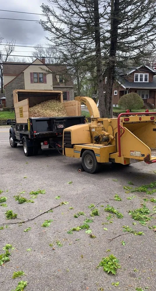 Top-rated lawn care service experts serving Milton, MA - Hoey Landscaping & Tree Service