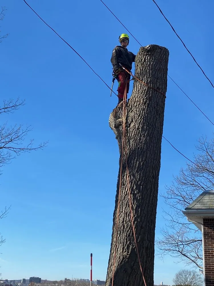 Expert garden landscaping experts serving Milton, MA - Hoey Landscaping & Tree Service