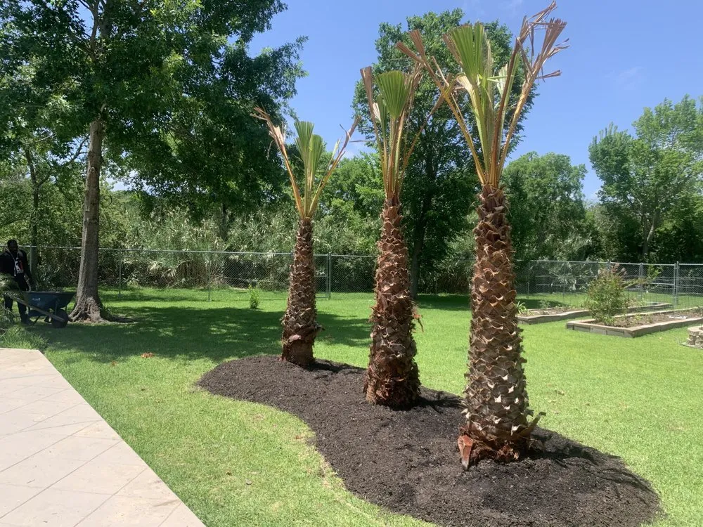 Expert yard cleanup service for homes in Kemah, TX by Hoff Landscaping