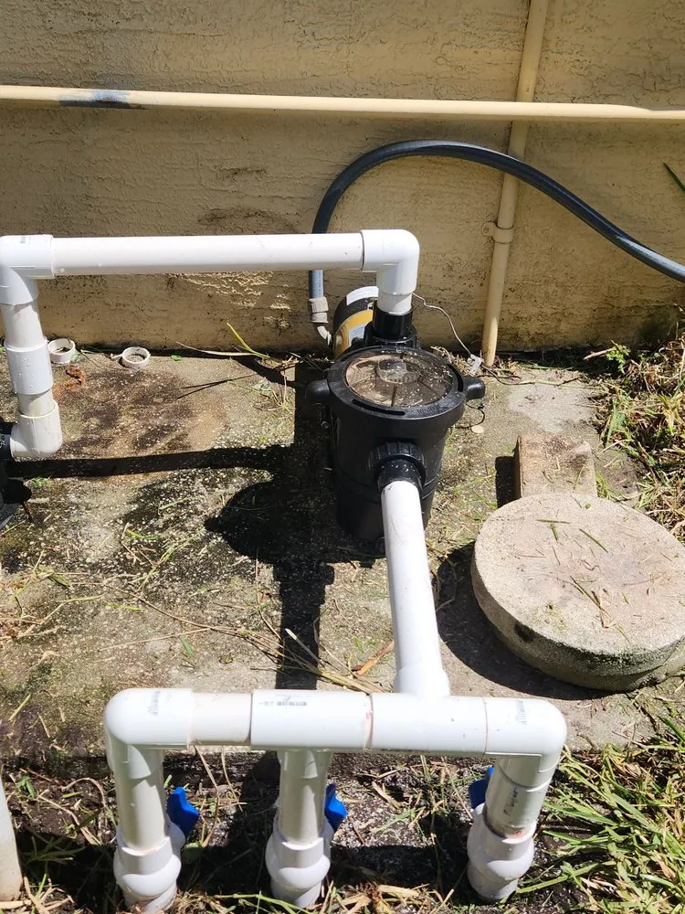 Trusted yard maintenance in Clearwater, FL by Hoffa's Pools & Honeydoos