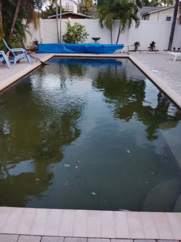 Affordable residential landscaping in Clearwater, FL by Hoffa's Pools & Honeydoos