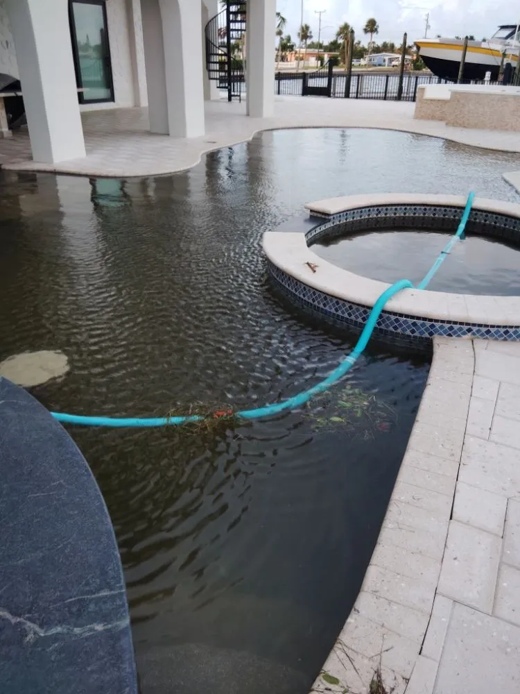 Top-rated lawn care service in Clearwater, FL - Hoffa's Pools & Honeydoos