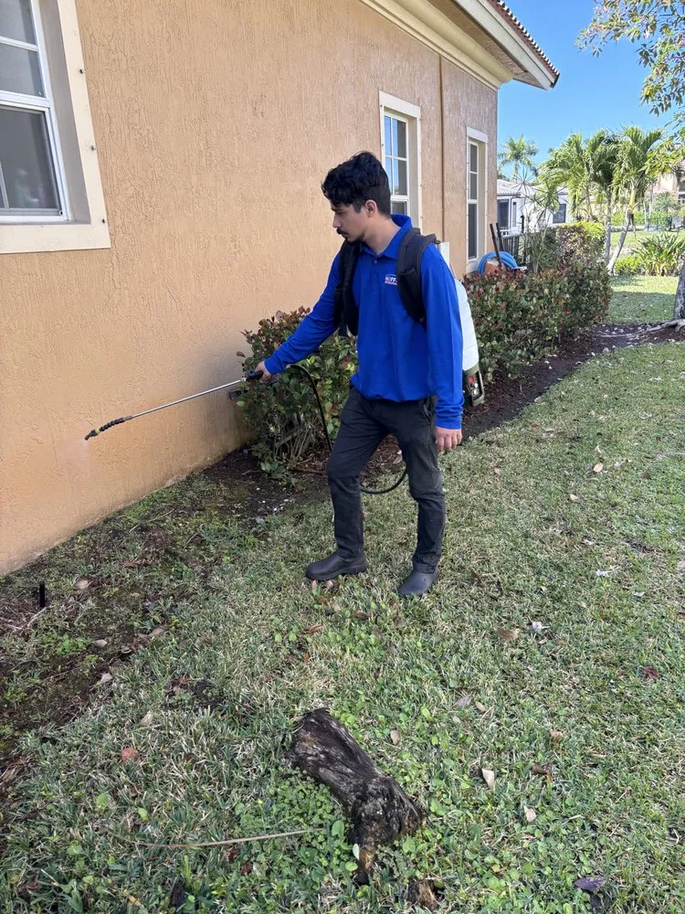 Trusted lawn care service in Coral Springs, FL by Hoffer Pest Solutions