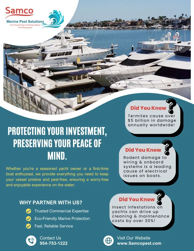 Expert yard maintenance for outdoor upgrades in Coral Springs, FL by Hoffer Pest Solutions