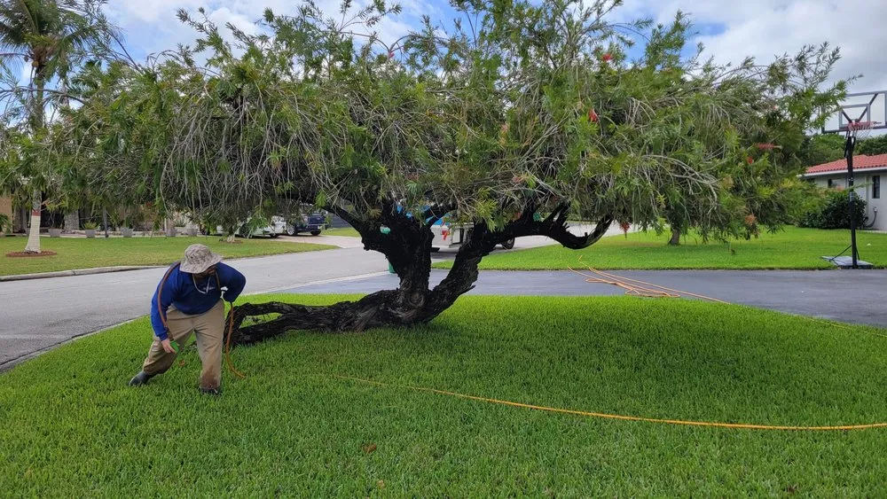 Reliable yard maintenance experts serving Coral Springs, FL - Hoffer Pest Solutions