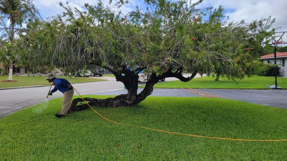 Reliable garden landscaping experts serving Coral Springs, FL - Hoffer Pest Solutions