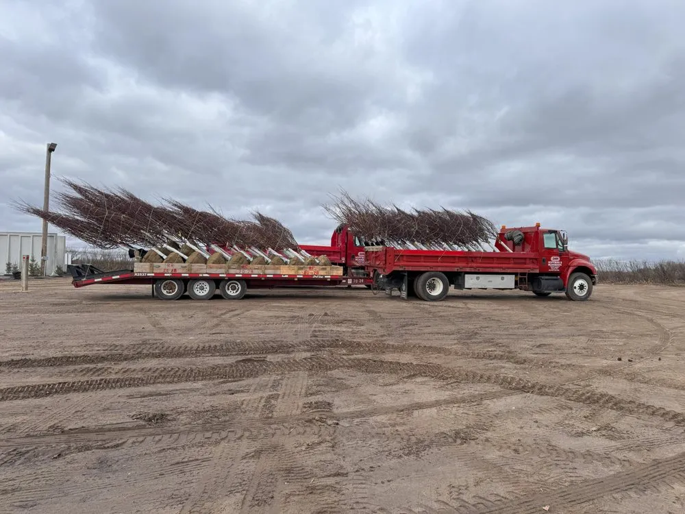 Reliable residential landscaping experts serving Hastings, MN - Hoffman & McNamara