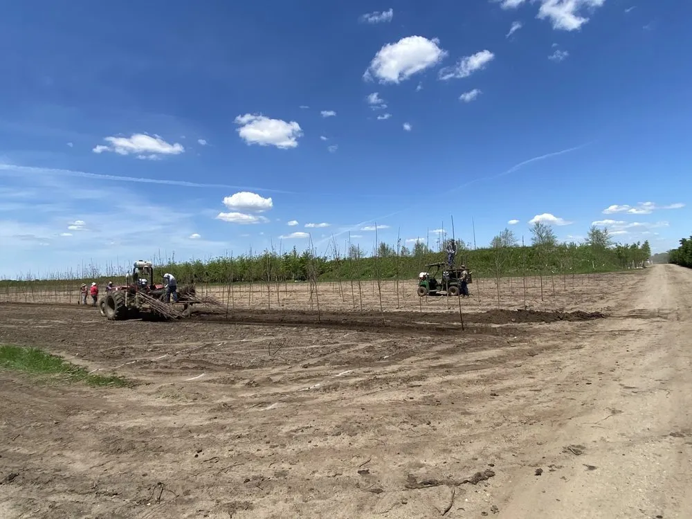 Reliable landscape installation near you across Hastings, MN - Hoffman & McNamara