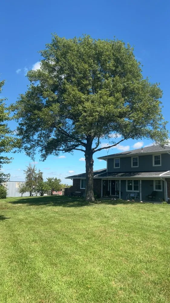 Professional outdoor landscaping in Saint Joseph, MO by Hoffman Construction Services