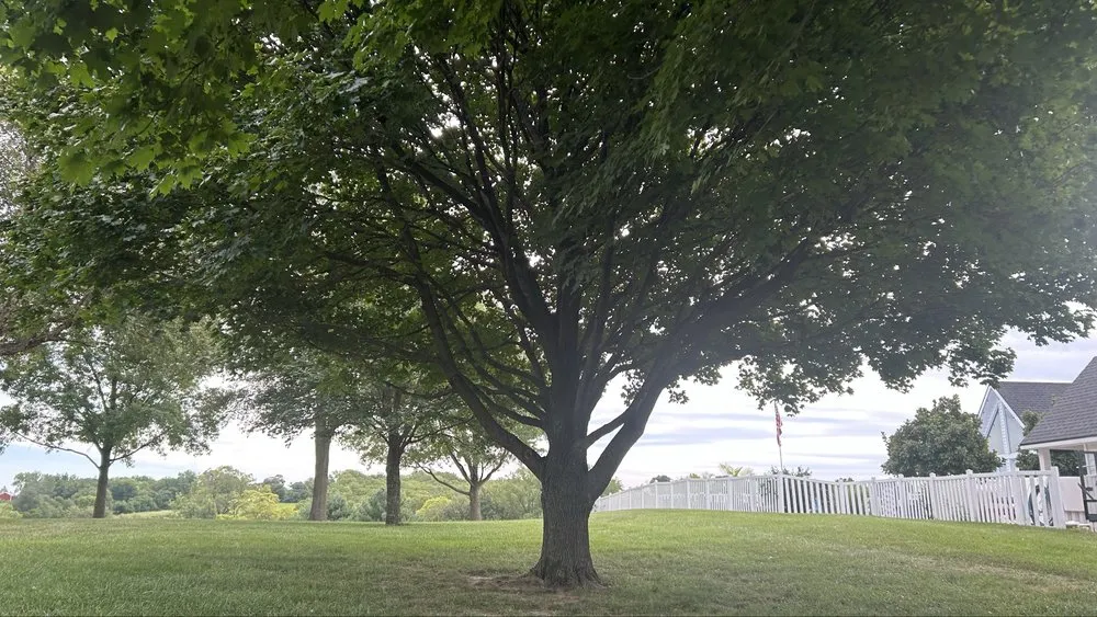 Professional lawn mowing service in Saint Joseph, MO by Hoffman Construction Services