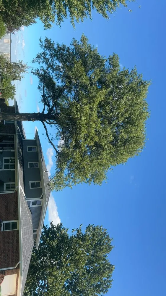 Top-rated yard cleanup service in Saint Joseph, MO - Hoffman Construction Services