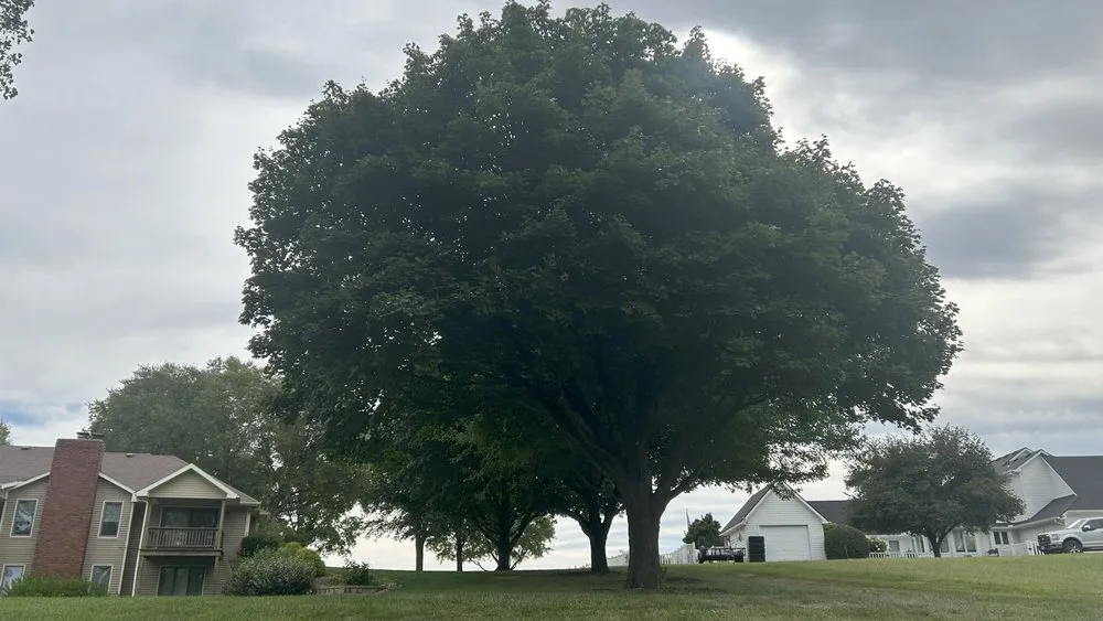 Custom yard cleanup service with custom design across Saint Joseph, MO - Hoffman Construction Services