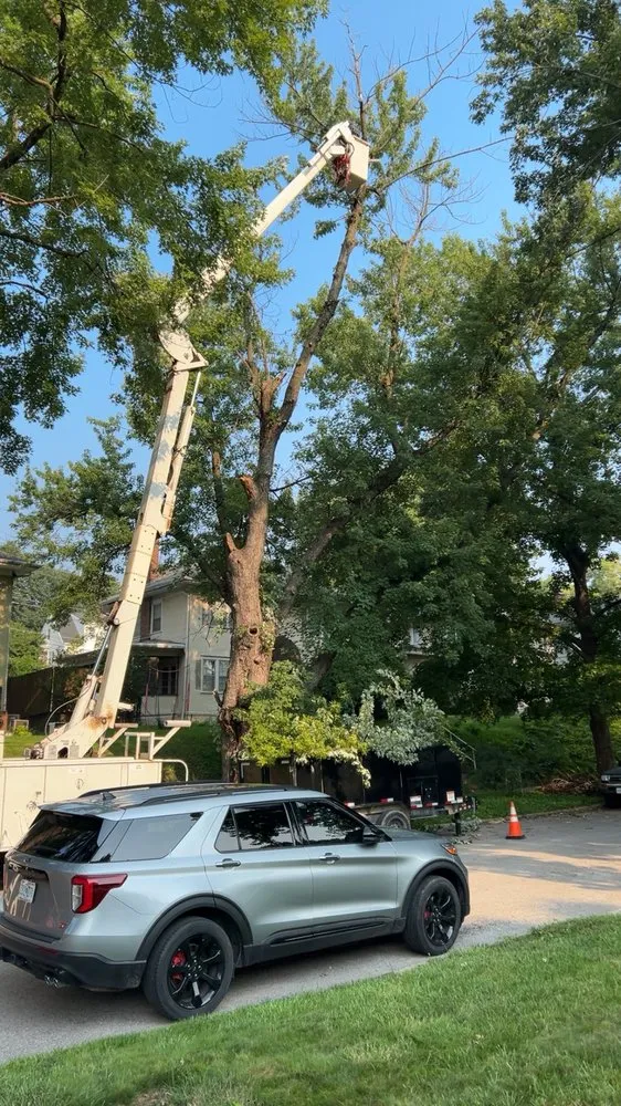 Top-rated landscape installation experts serving Saint Joseph, MO - Hoffman Construction Services