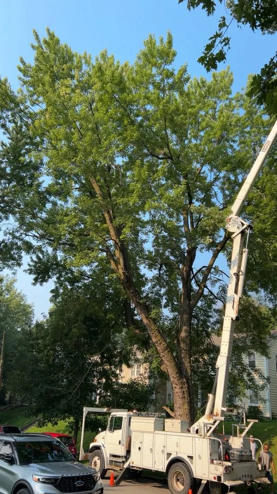 Local lawn mowing service experts serving Saint Joseph, MO - Hoffman Construction Services