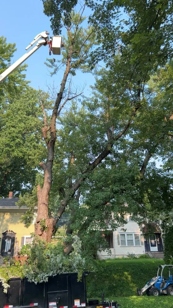 Affordable lawn care service experts serving Saint Joseph, MO - Hoffman Construction Services