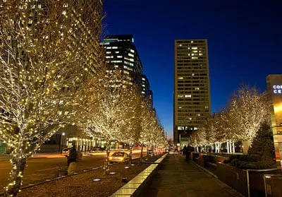 Professional lawn care service in Sharon Hill, PA - Hoffman Design Group Inc