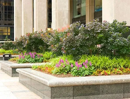 Top-rated yard maintenance in Sharon Hill, PA by Hoffman Design Group Inc