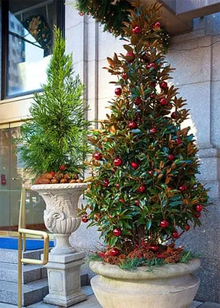 Top-rated residential landscaping in Sharon Hill, PA by Hoffman Design Group Inc