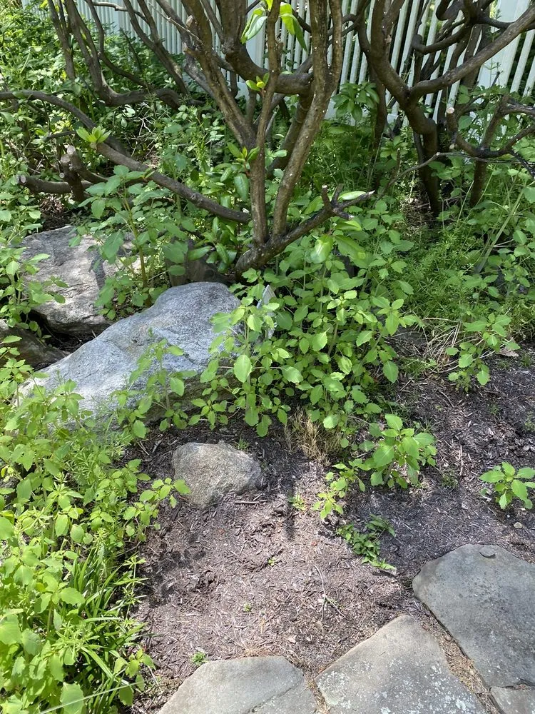 Local garden landscaping in Wilton, CT by Hoffman Landscapes