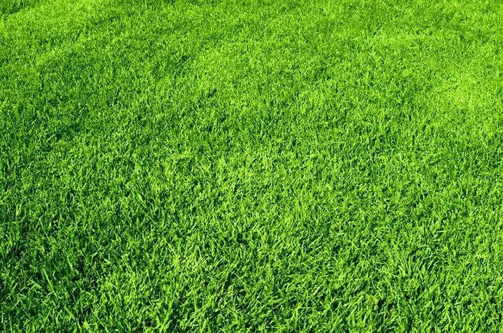 Reliable landscaping services experts serving Dubuque, IA - Hoffman Lawn Care