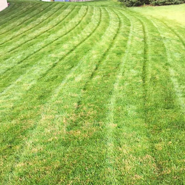 Professional residential landscaping experts serving Dubuque, IA - Hoffman Lawn Care