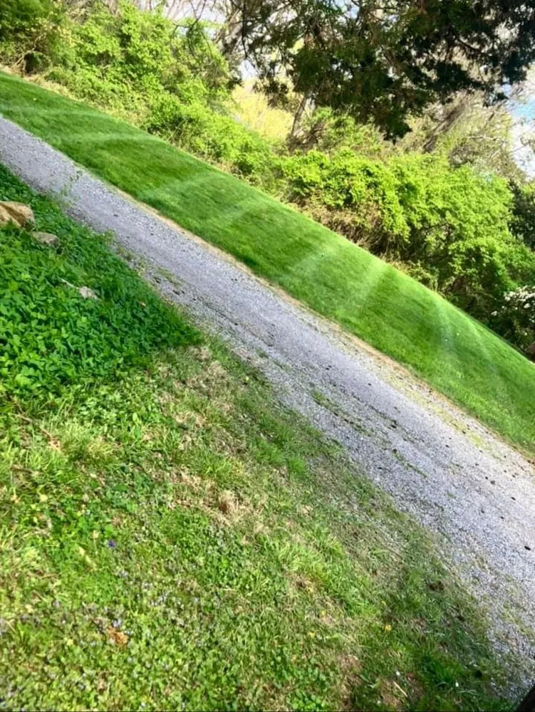 Top-rated outdoor landscaping in Lebanon, NJ - Hoffman Lawn Care