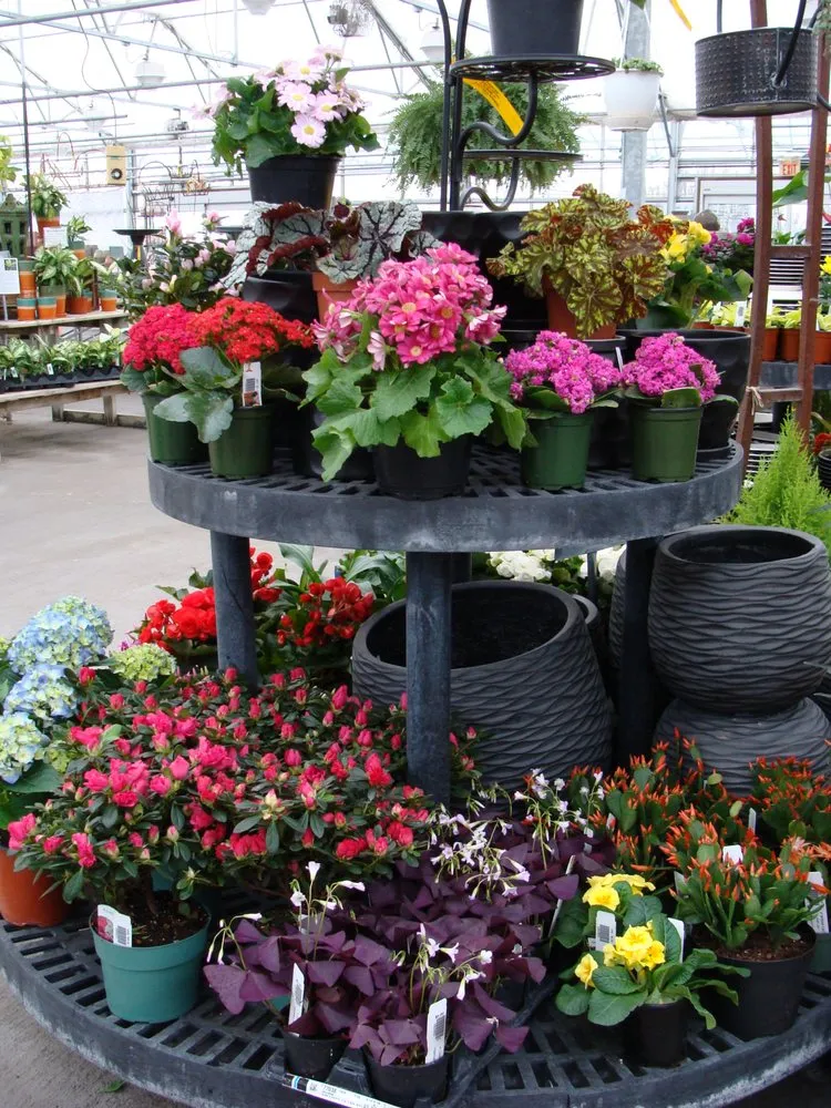 Top-rated yard cleanup service experts serving Washington, MO - Hoffmann Hillermann Nursery & Florist