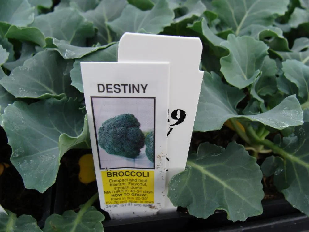 Top-rated landscape design experts serving Washington, MO - Hoffmann Hillermann Nursery & Florist