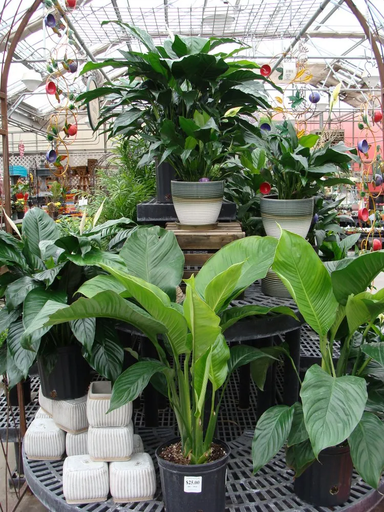 Custom lawn care service for residential properties in Washington, MO by Hoffmann Hillermann Nursery & Florist