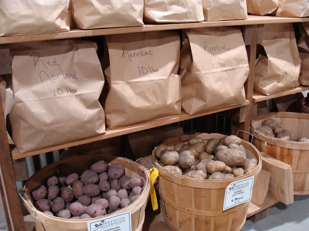 Local landscaping services for outdoor upgrades across Washington, MO - Hoffmann Hillermann Nursery & Florist