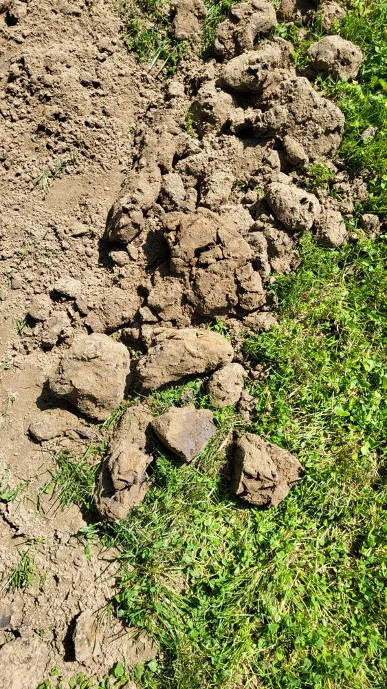 Local residential landscaping for homes across Washington, MO - Hoffmann Hillermann Nursery & Florist