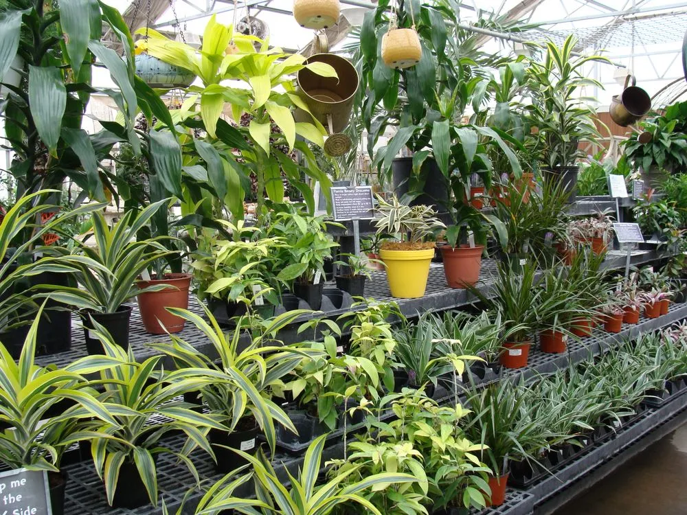 Professional landscaping services for year-round maintenance in Washington, MO by Hoffmann Hillermann Nursery & Florist